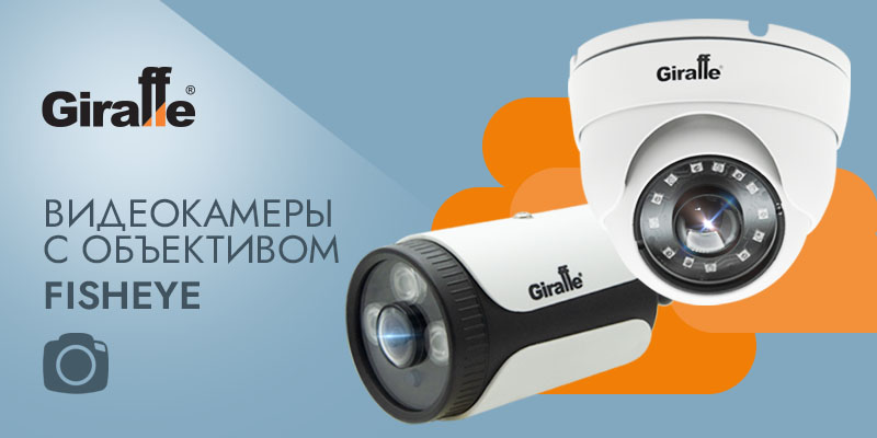 Видеокамеры с объективом Fisheye